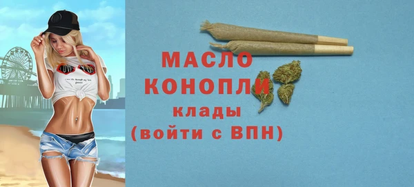 СК Алексин