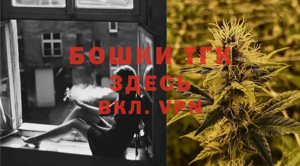 СК Алексин