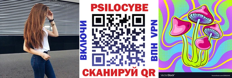 Псилоцибиновые грибы Psilocybe  Артёмовск 